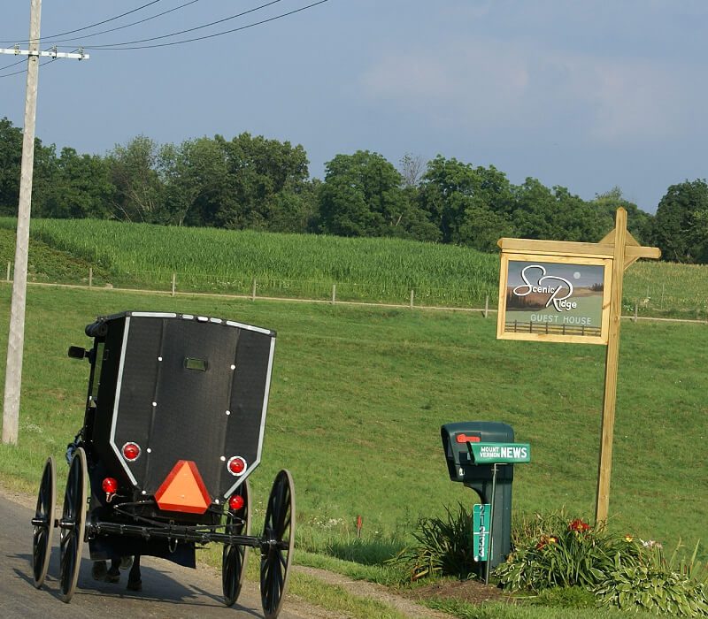 A buggy driving down the road near a green field.