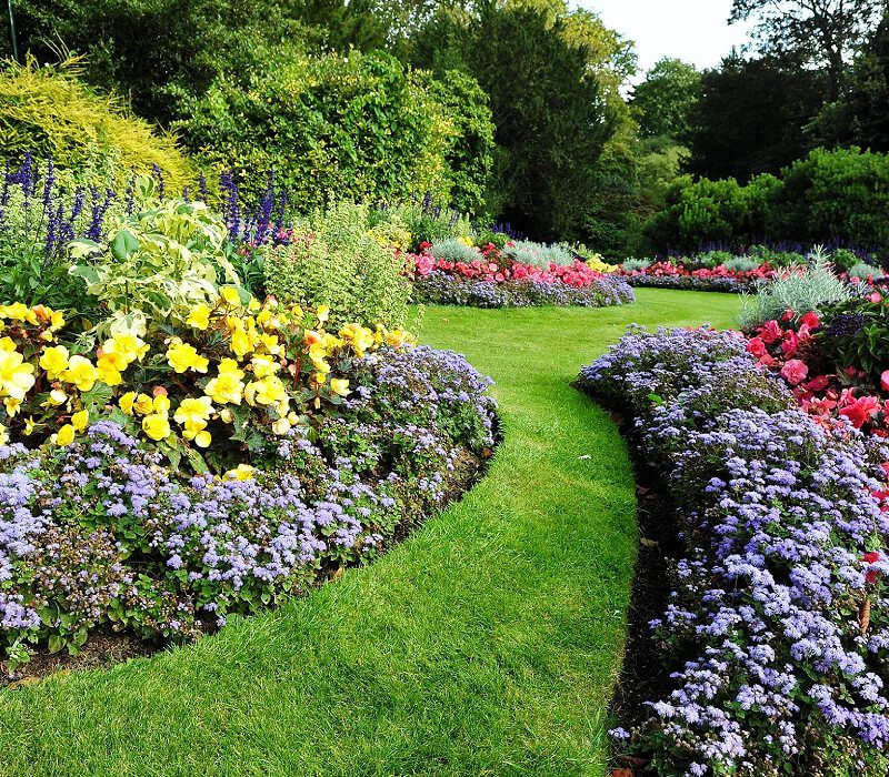 A garden with many different flowers and grass.